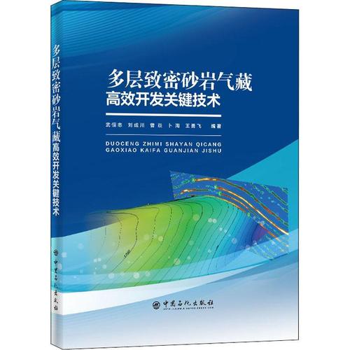 現貨正版多層致密砂巖氣藏開發關鍵技術(精)武恒志自然科學暢銷書圖書